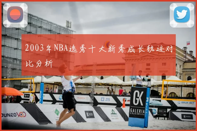 2003年NBA选秀十大新秀成长轨迹对比分析