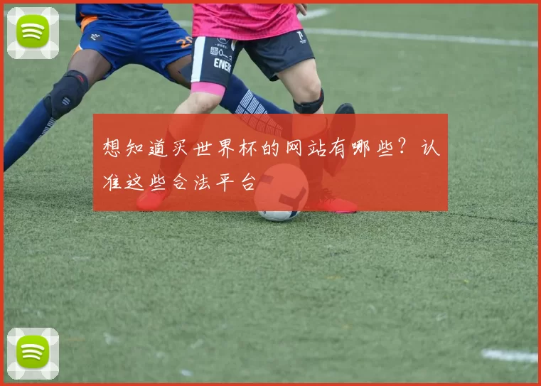 想知道买世界杯的网站有哪些？认准这些合法平台