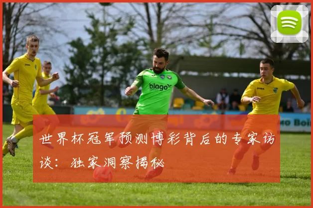 世界杯冠军预测博彩背后的专家访谈：独家洞察揭秘
