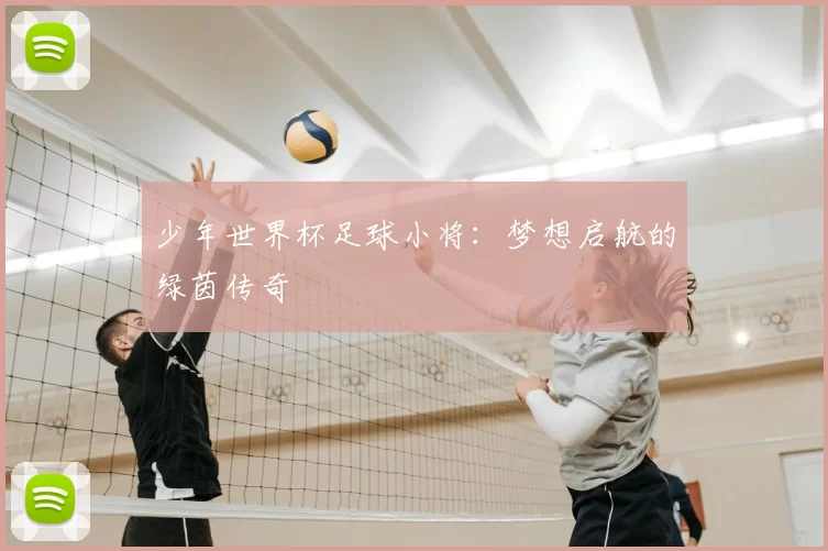少年世界杯足球小将:梦想启航的绿茵传奇