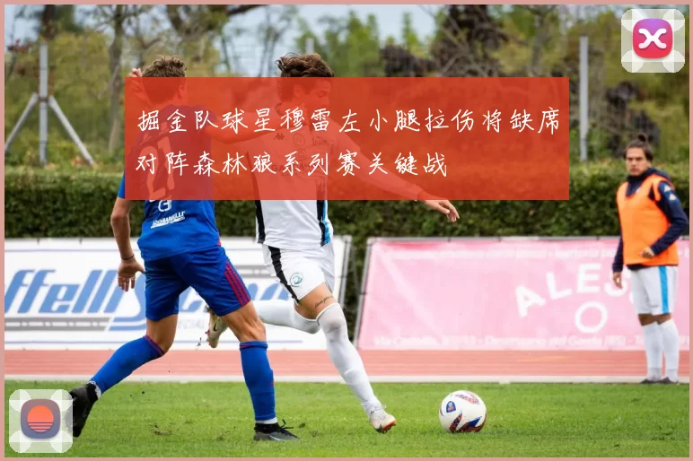 掘金队球星穆雷左小腿拉伤将缺席对阵森林狼系列赛关键战