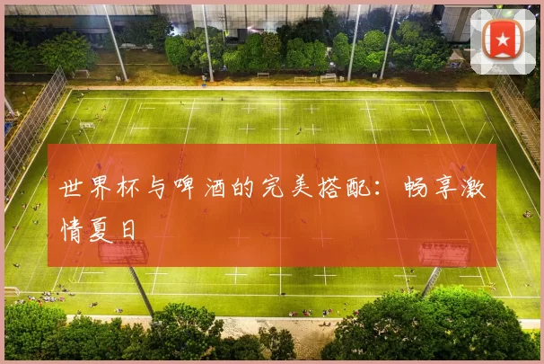 世界杯与啤酒的完美搭配：畅享激情夏日
