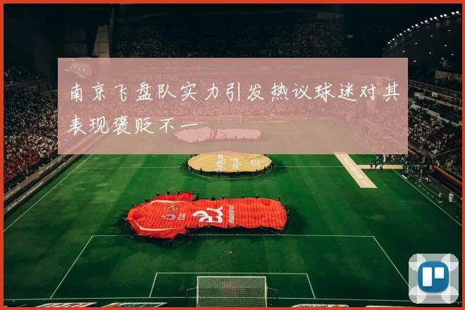 南京飞盘队实力引发热议球迷对其表现褒贬不一