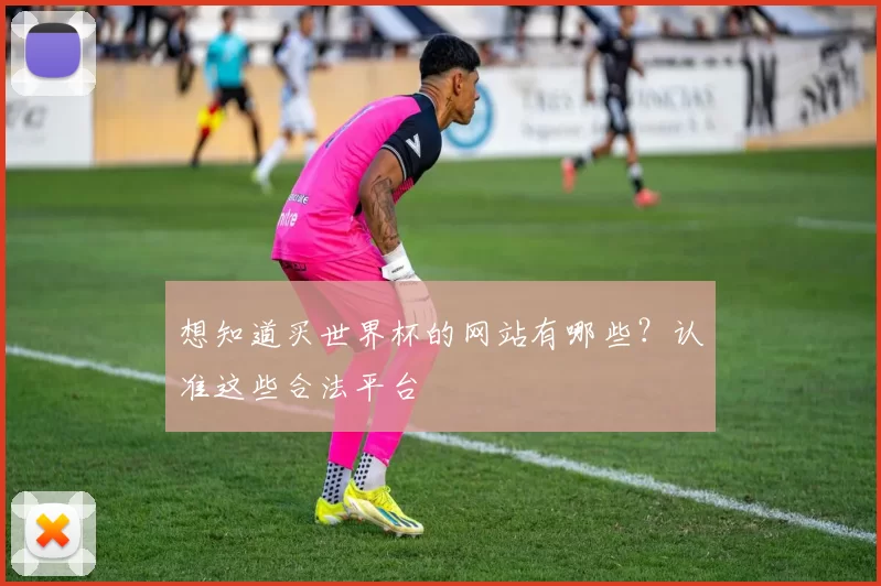 想知道买世界杯的网站有哪些?认准这些合法平台