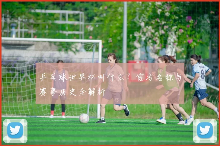 乒乓球世界杯叫什么？官方名称与赛事历史全解析