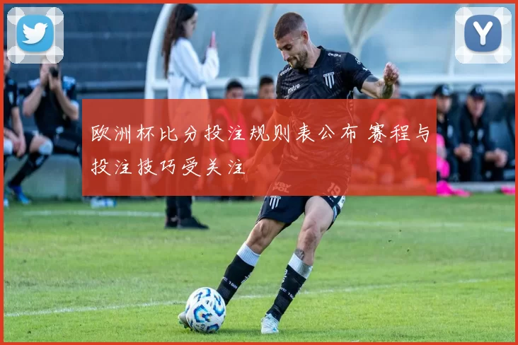 欧洲杯比分投注规则表公布 赛程与投注技巧受关注