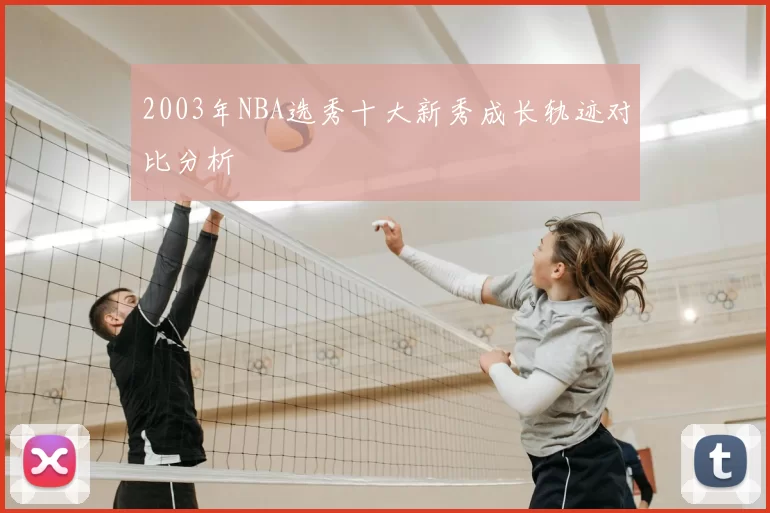2003年NBA选秀十大新秀成长轨迹对比分析